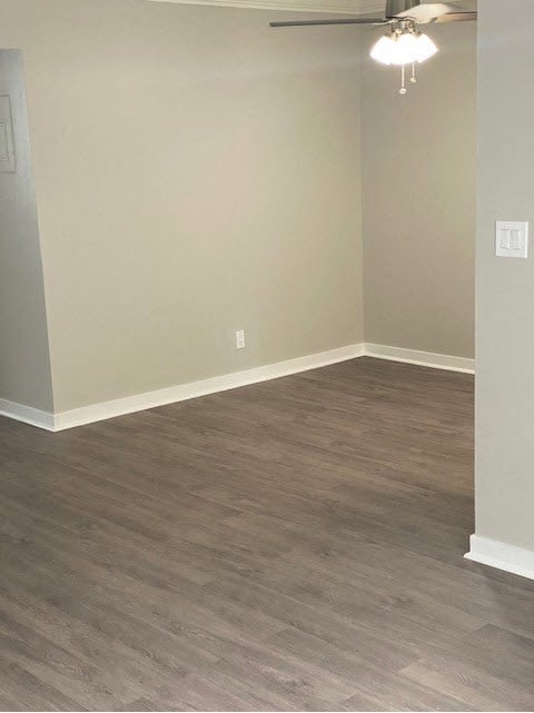 The Elmwood Apartments Image 5