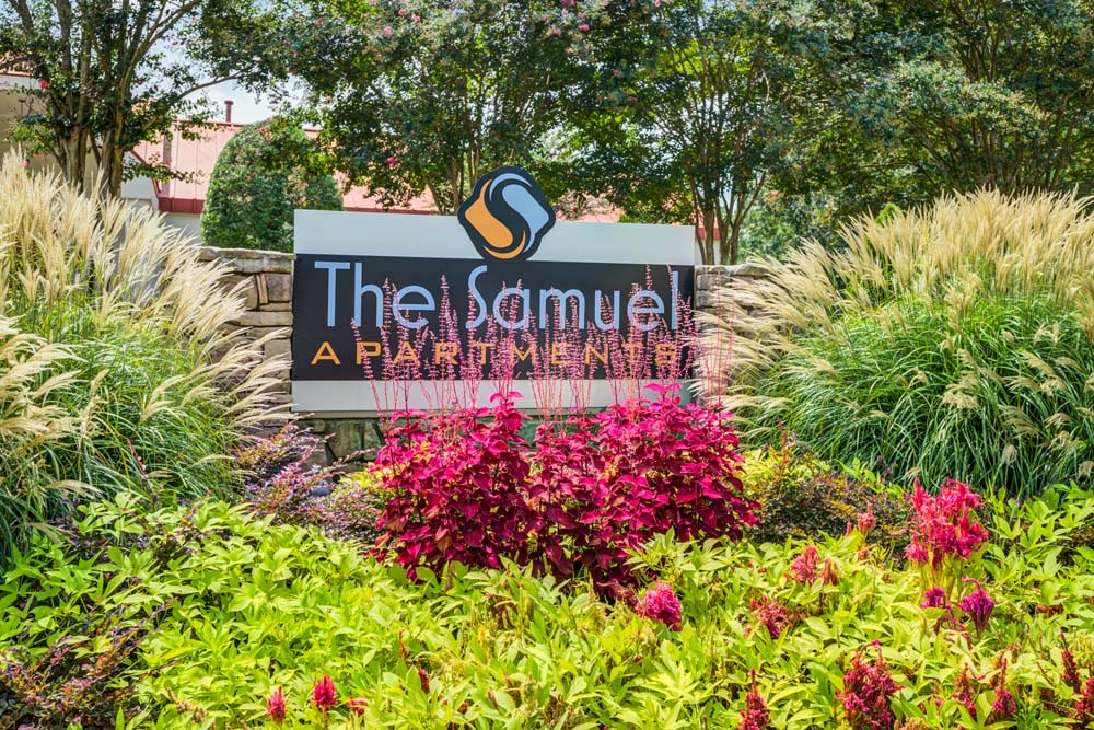 The Samuel Image 19