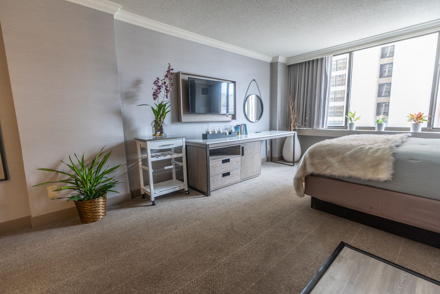 Vivo Living Baltimore Image 24
