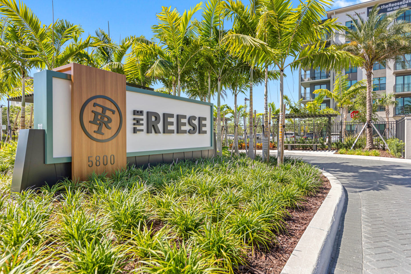 The Reese Image 18