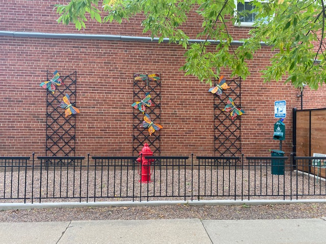 Colonial Court Apartments Image 19