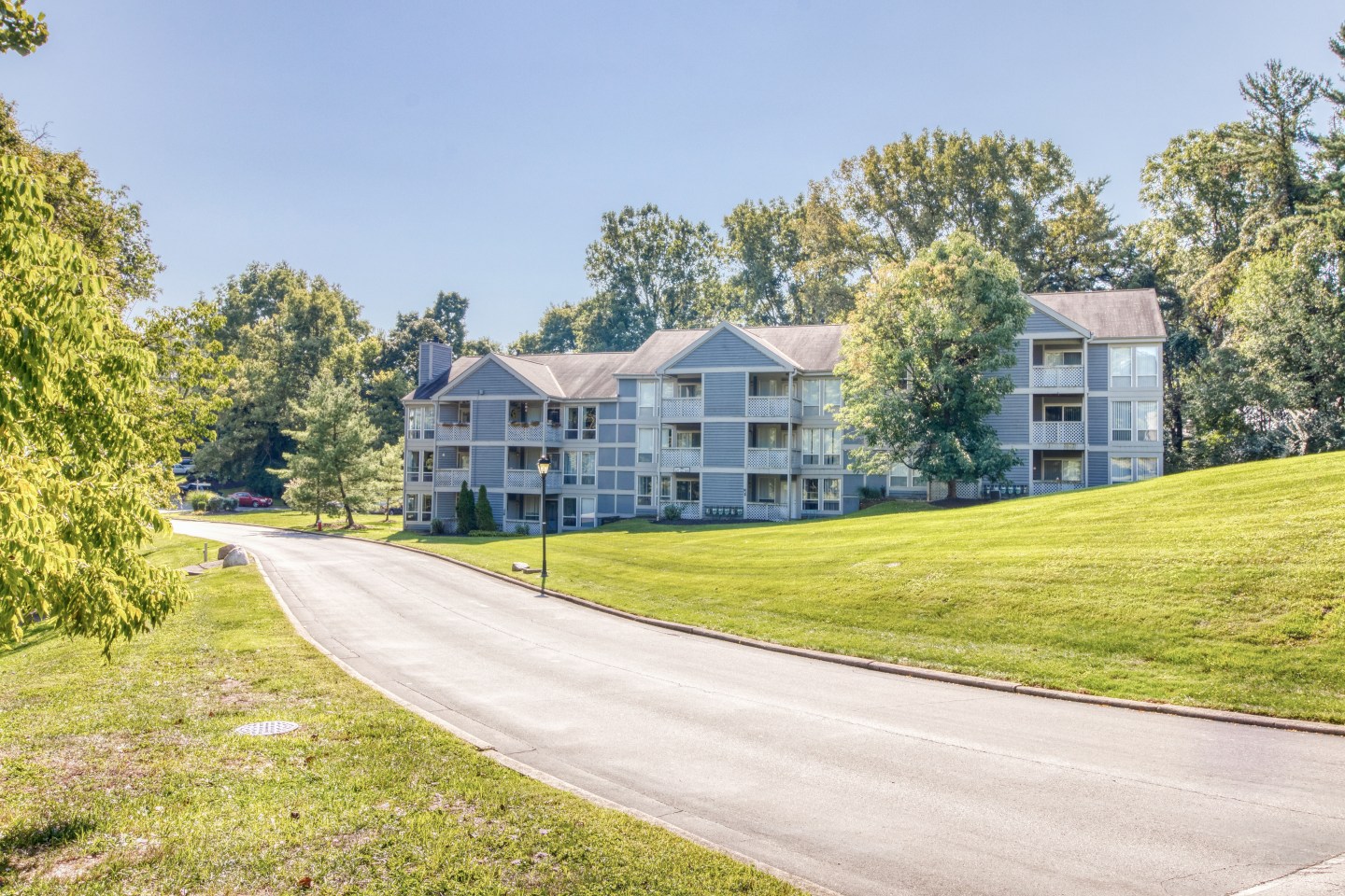 Hibernia Apartments Image 4