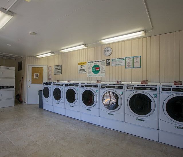 Pineview Image 11