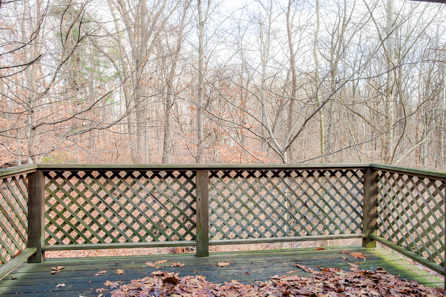 The Arbors Image 52