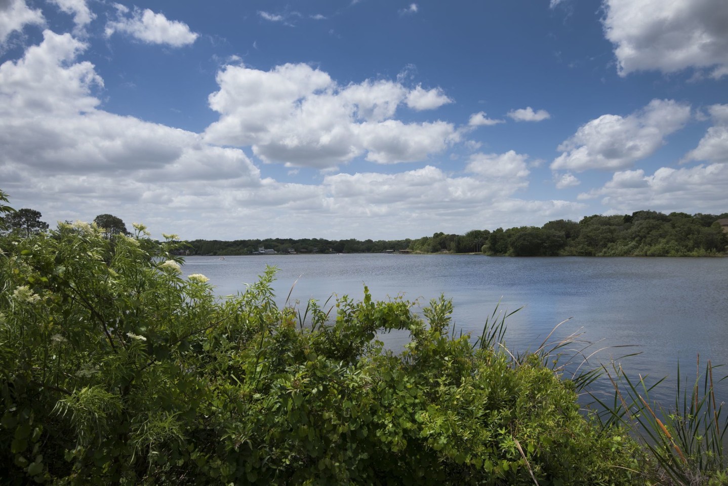 Lakeshore at Altamonte Springs Image 55