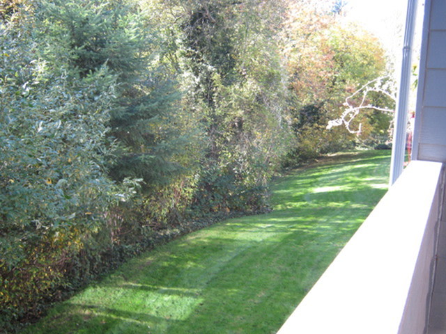 Colony Park Image 13