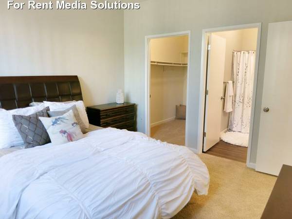 Seville at Mace Ranch Image 7
