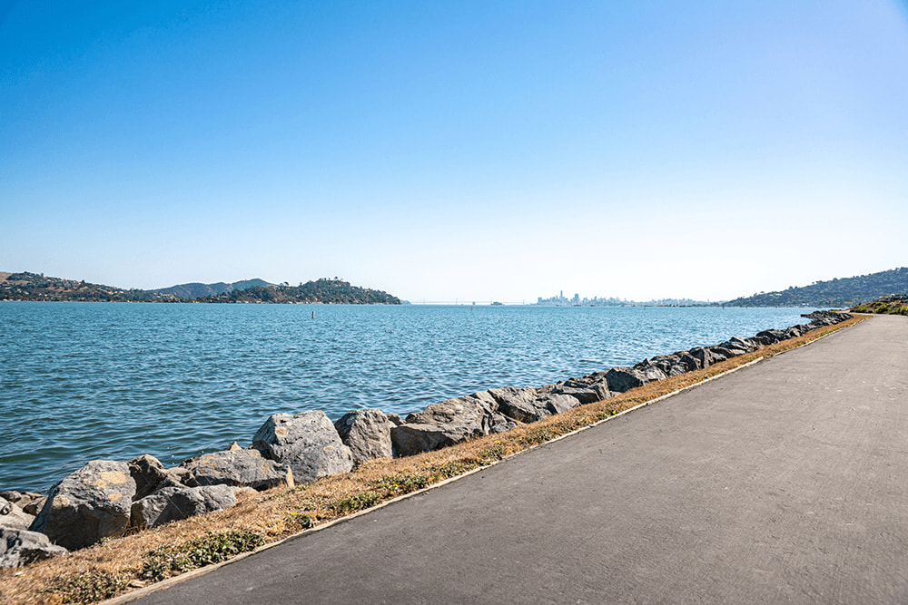 Harbor Point Waterfront Apartments Image 44