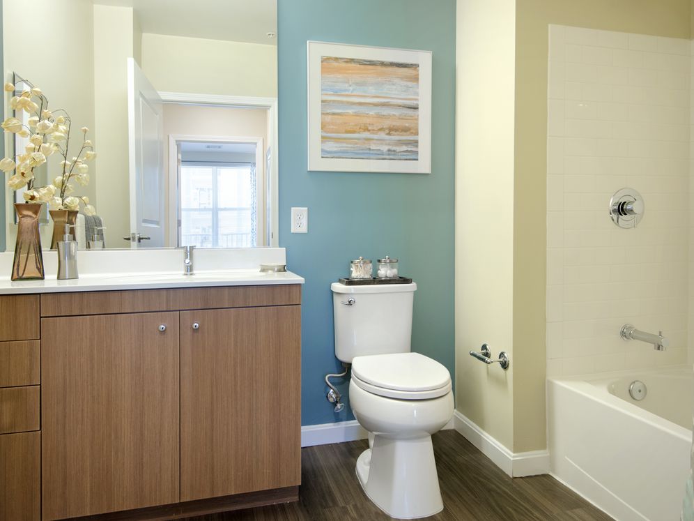 Avalon Quincy Image 16