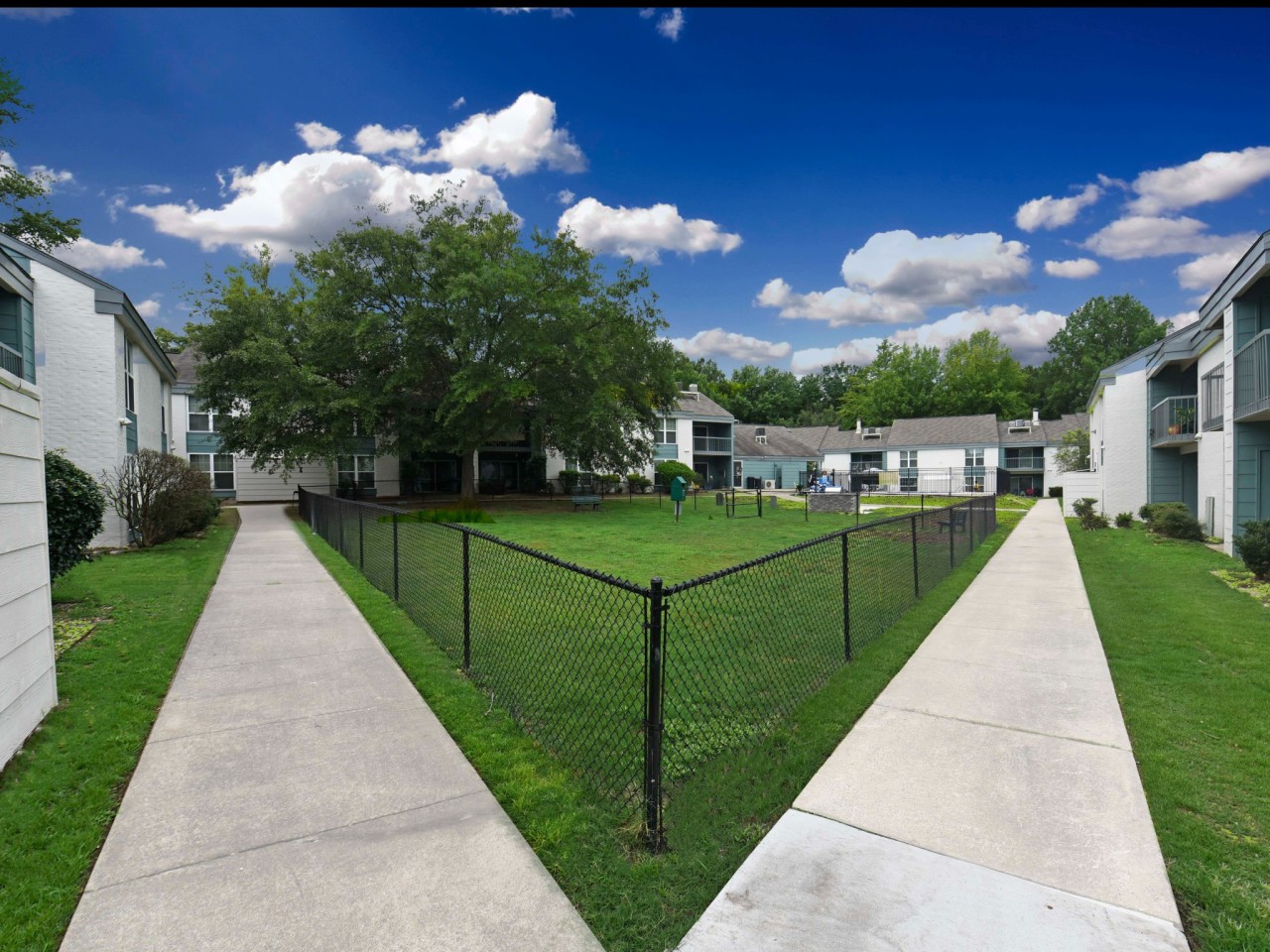 The Everly Image 19