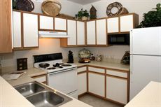 Ravinia Image 19