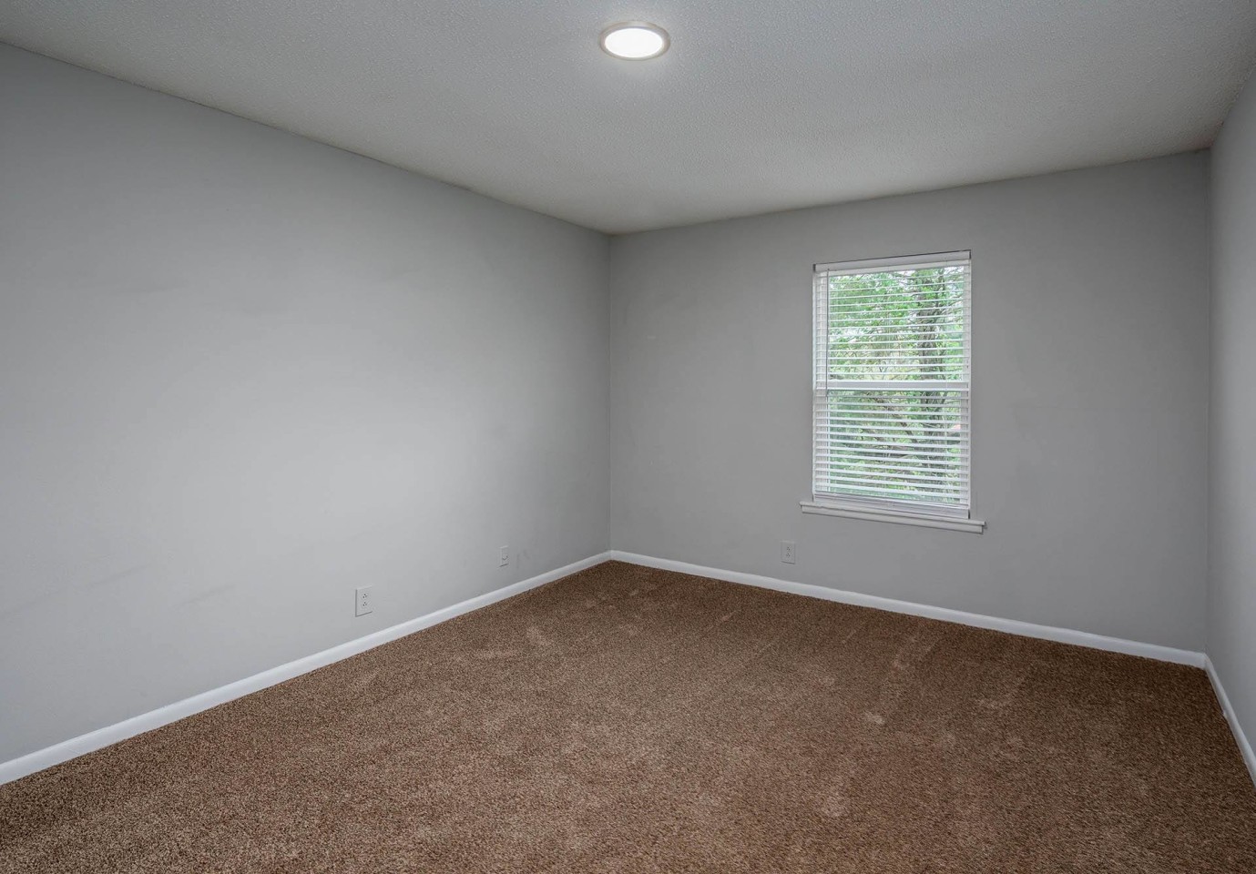 Orchard Park Apartments Image 12