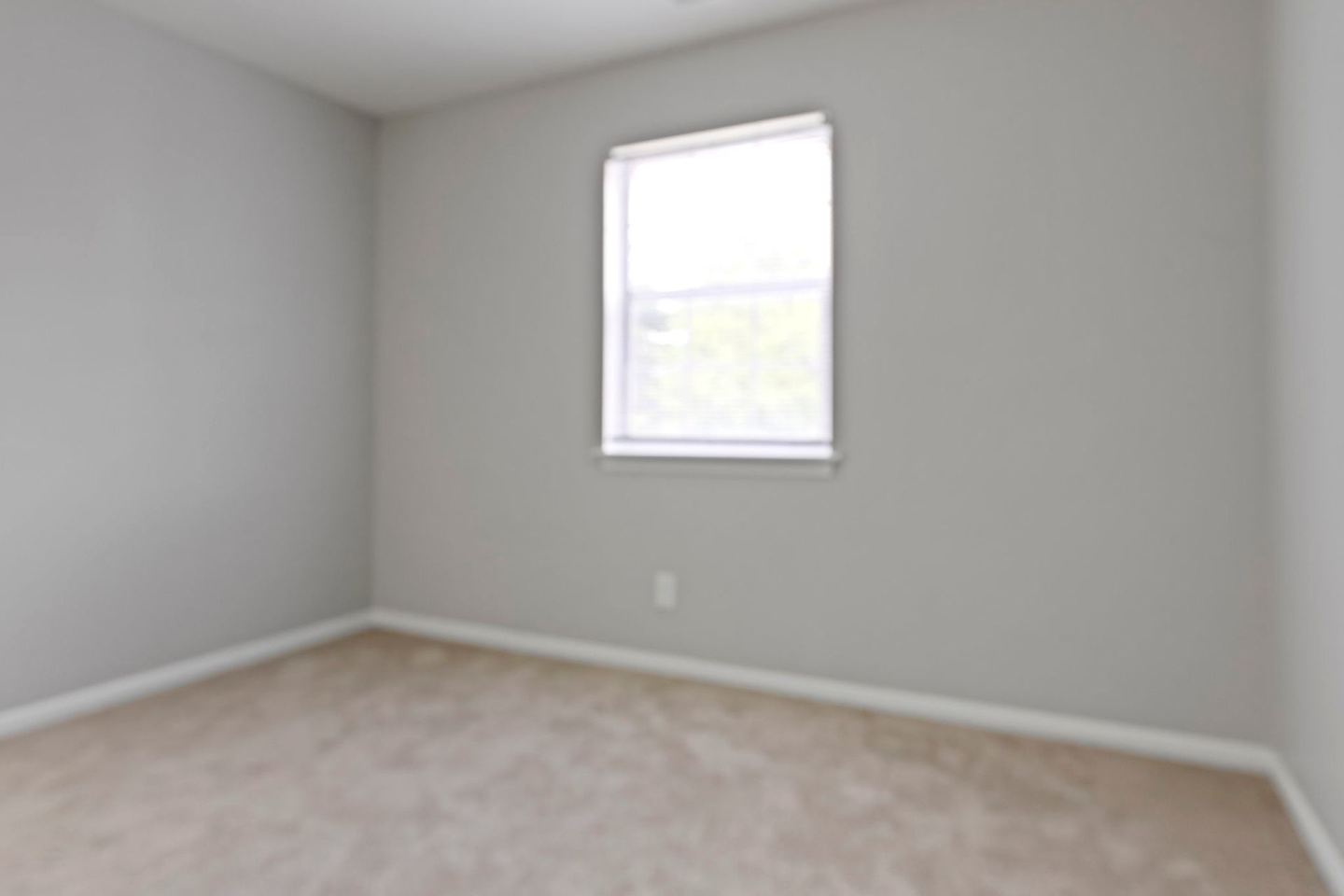 Lenox Image 48