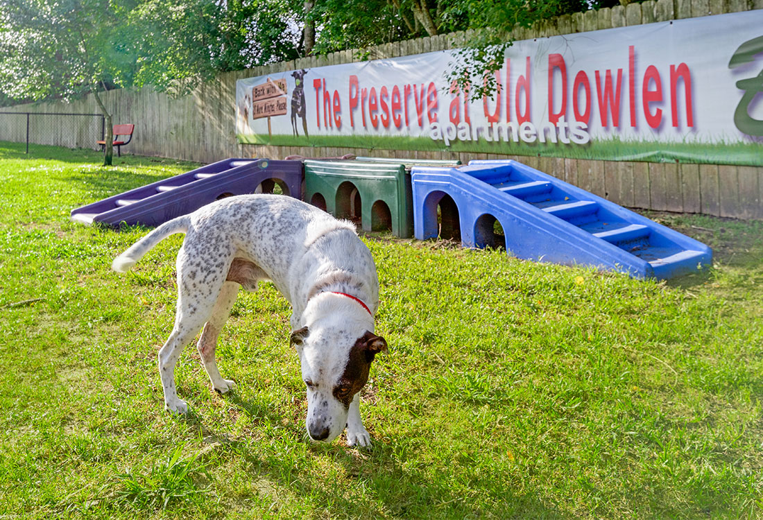 The Preserve at Old Dowlen Image 24
