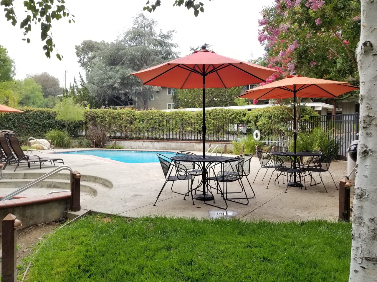 Los Gatos Heights Image 3