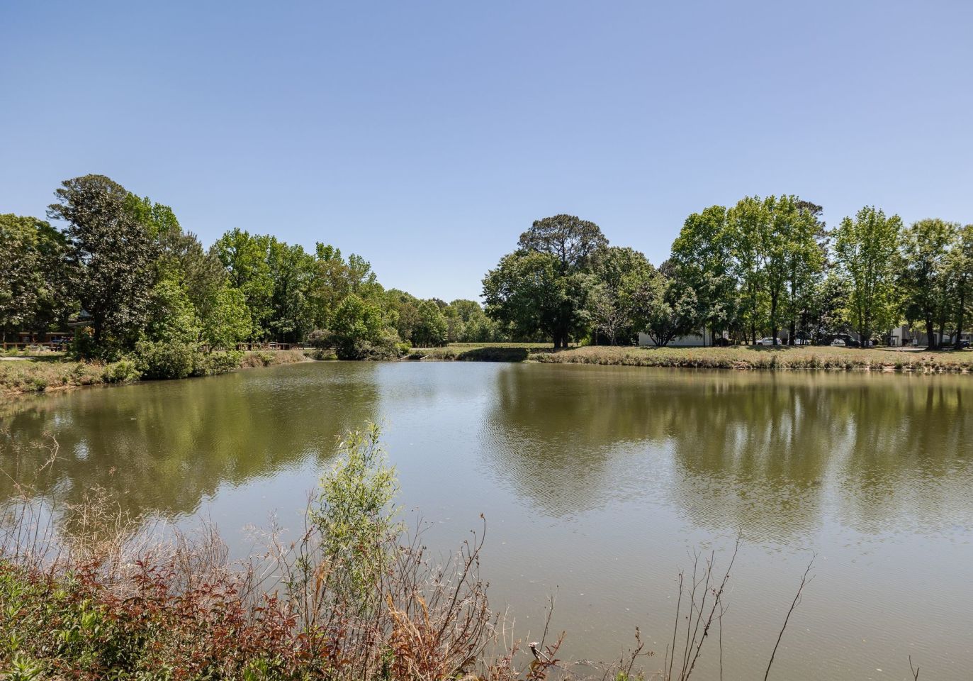 Mulberry Pond Image 28