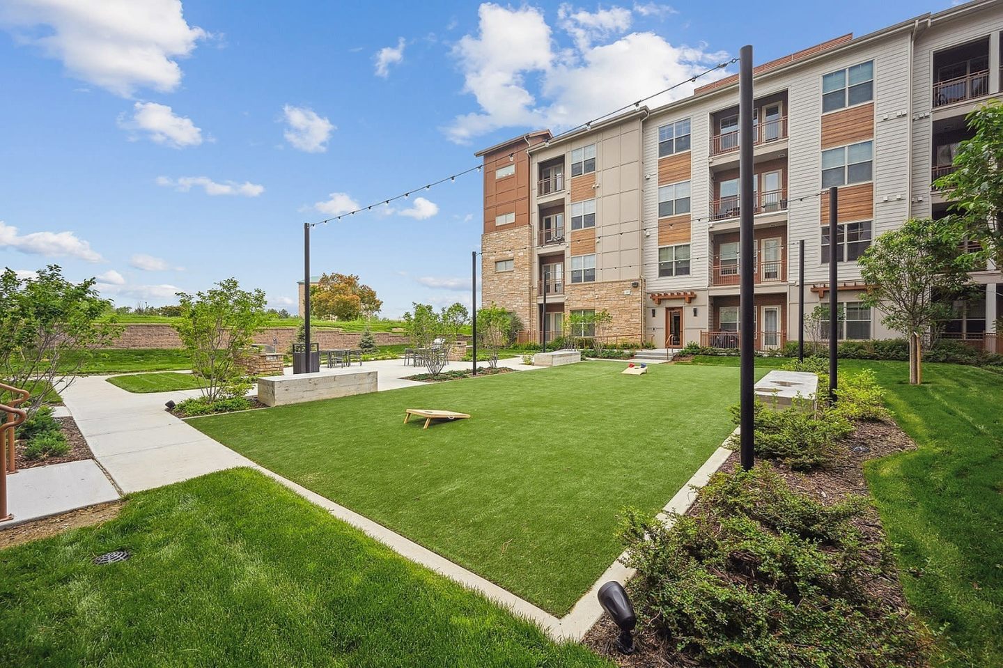 The Elmwood Image 25