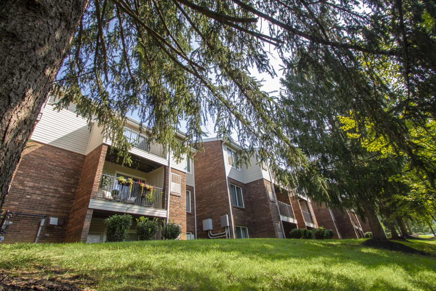 Deer Hill Image 16