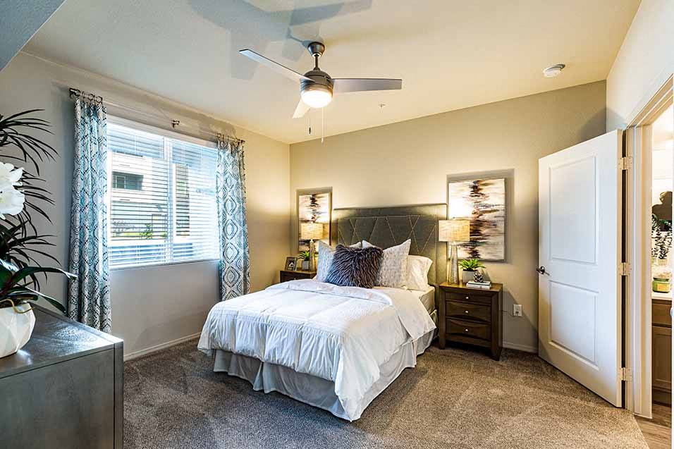 Rise Apartment Homes Image 6