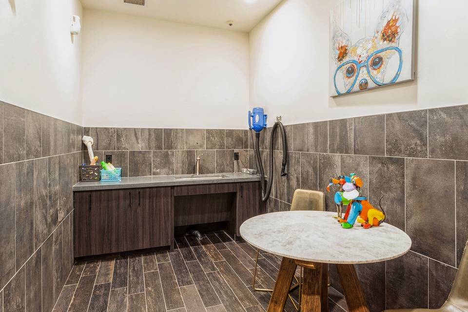 Arrive Federal Hill Image 46