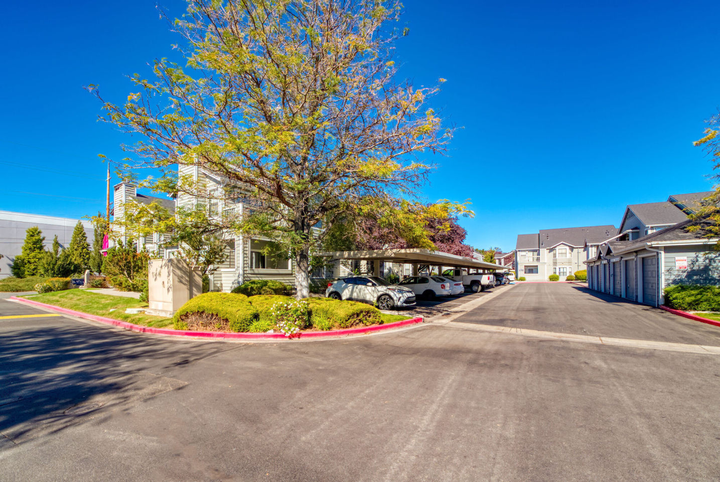 Bristle Pointe Image 9