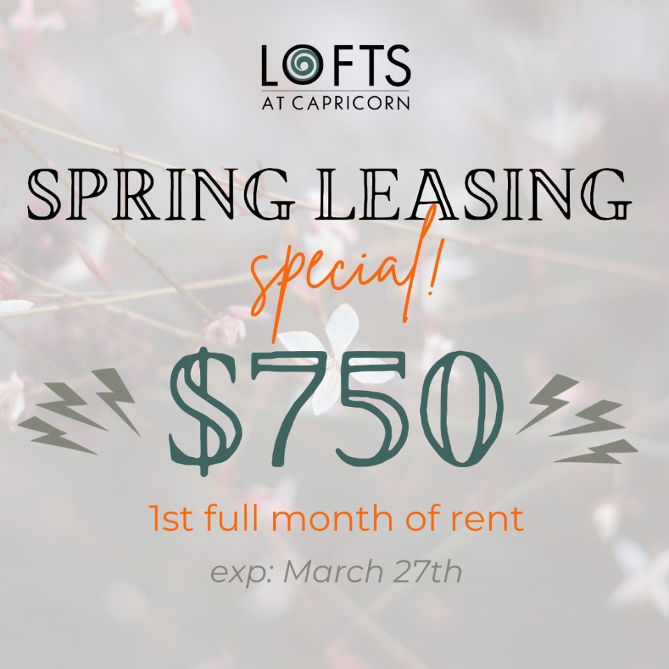 Lofts at Capricorn Image 30