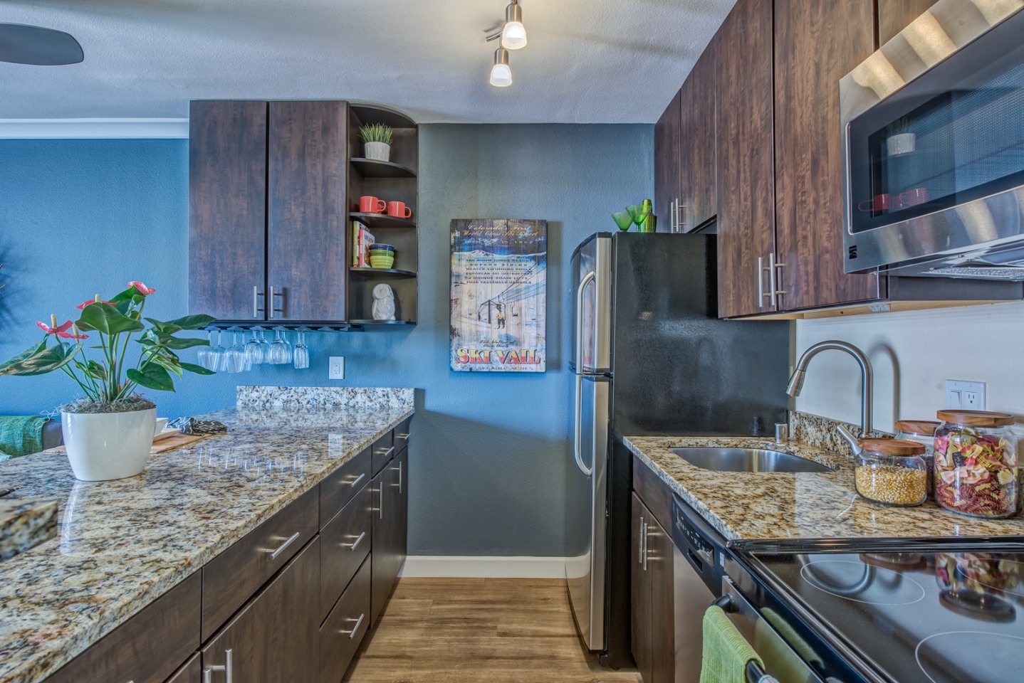 Skyline 1801 Image 5