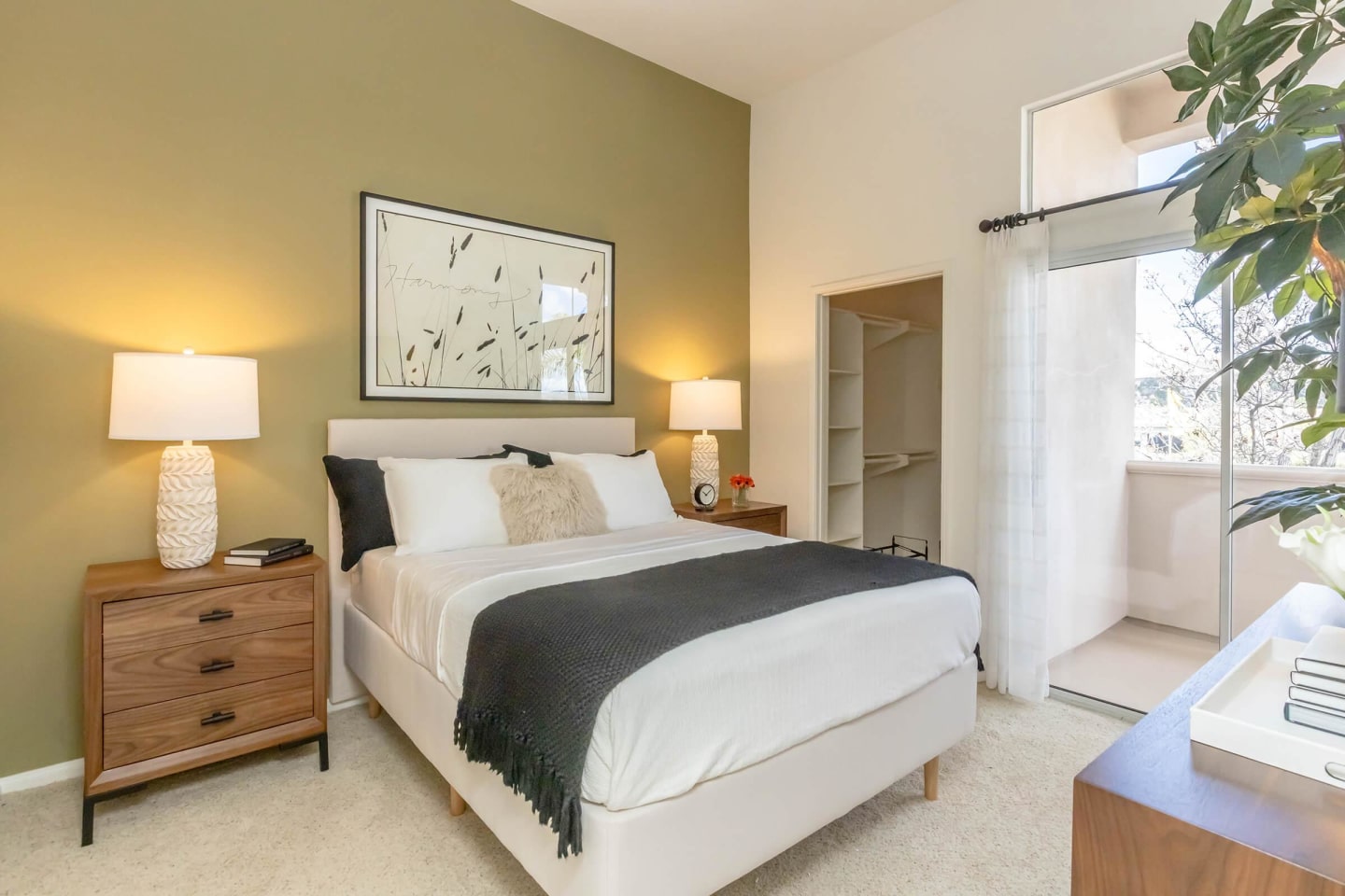 Colony Townhomes Image 100