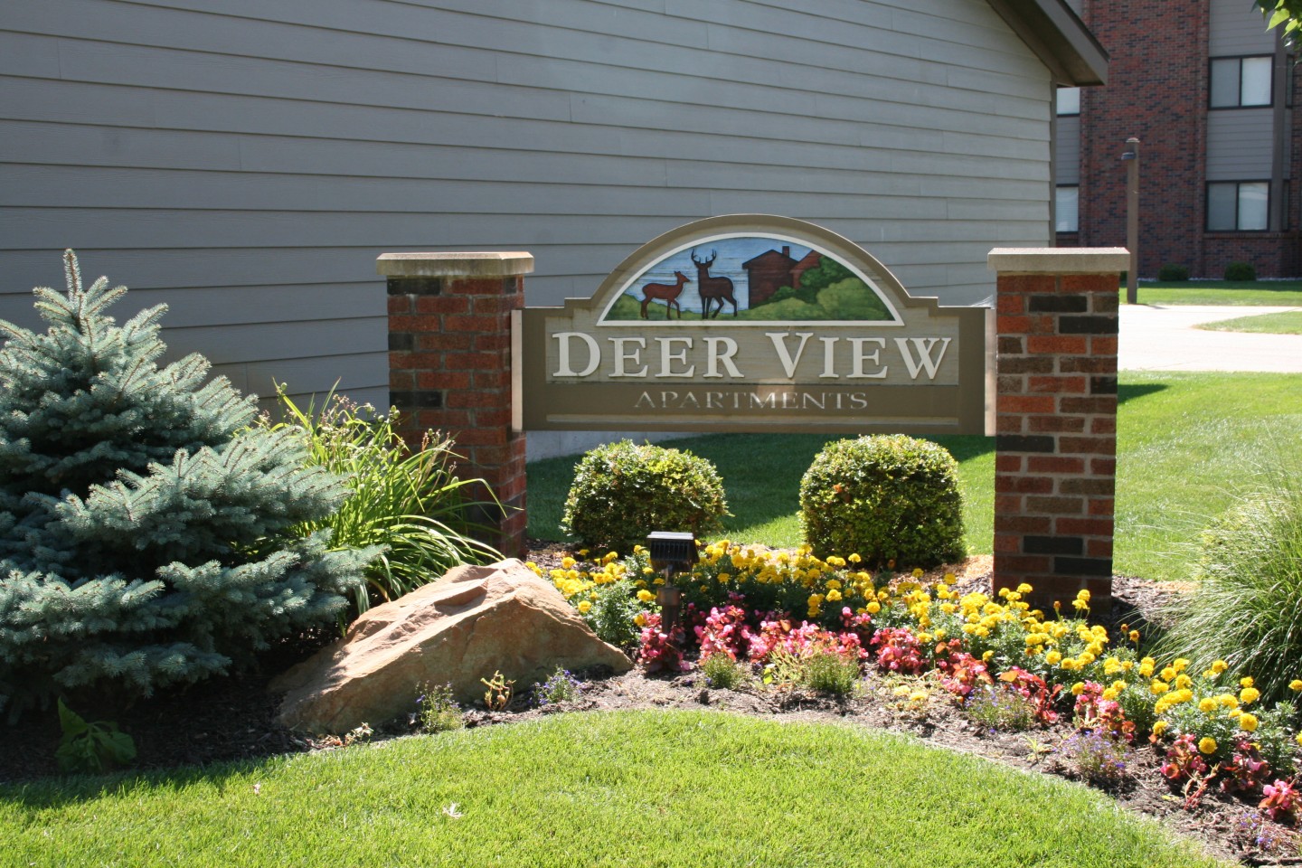 Deer View Image 90