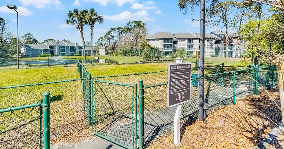 Victoria at Orange Park Image 11