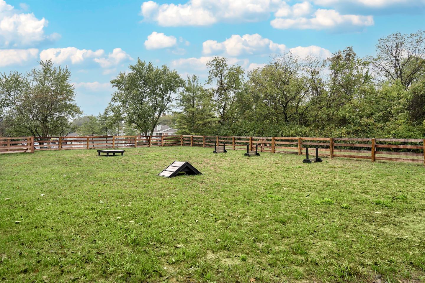 Steeplechase Image 51