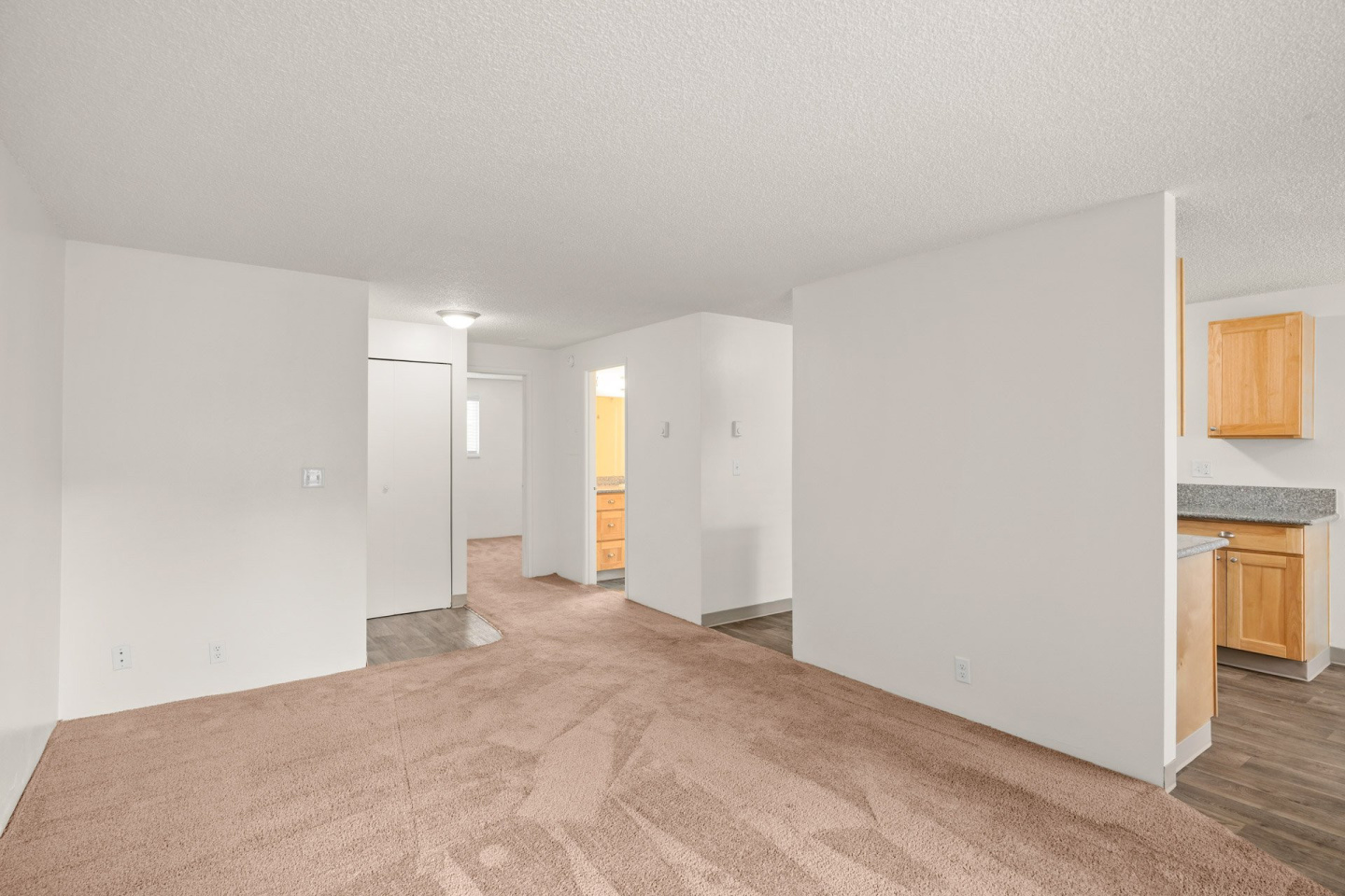 Centennial Image 25