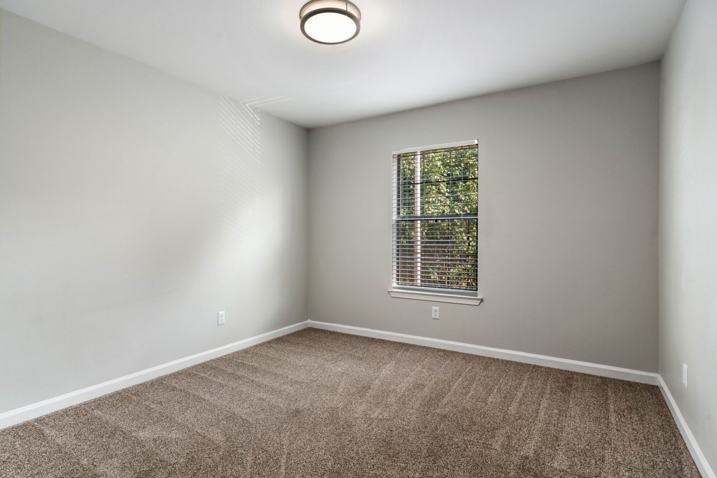 Laurel Valley Image 33