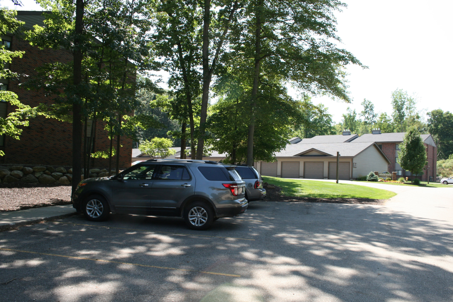 Deer View Image 87