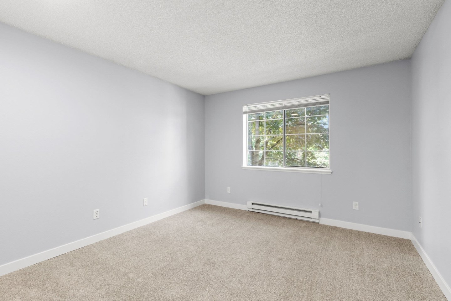 Avana West Hill Image 35