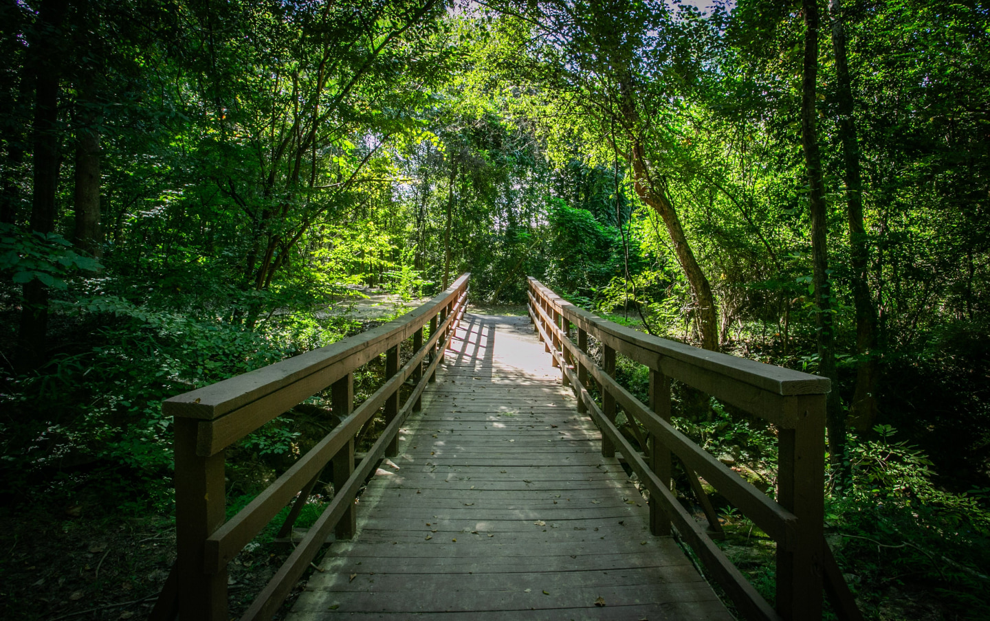 Stone Creek at Brookhaven Image 24