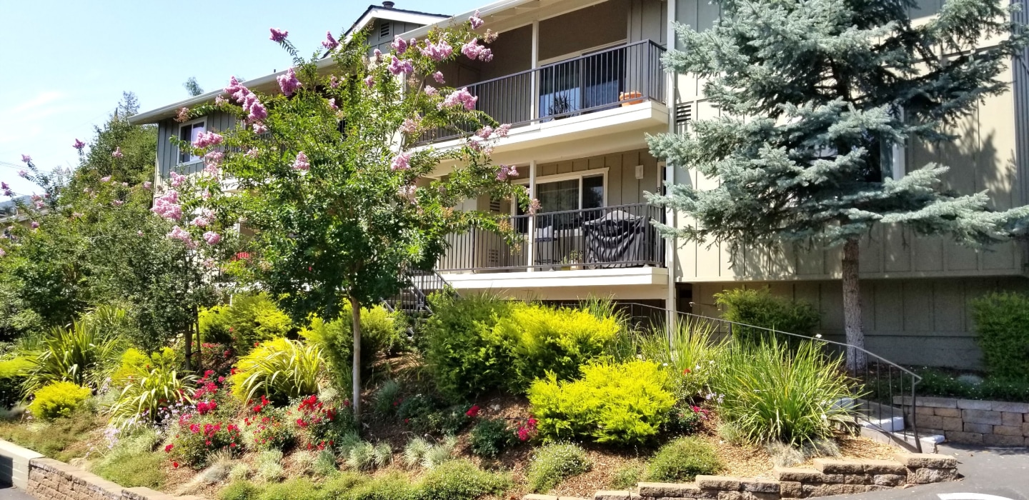 Los Gatos Heights Image 2
