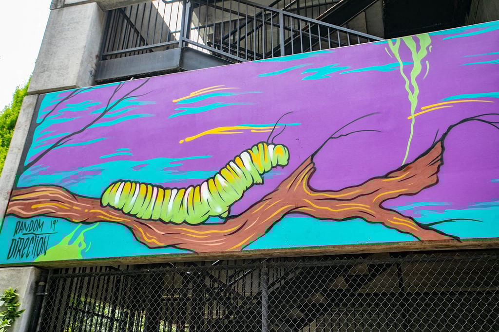 Mariposa Lofts Image 31