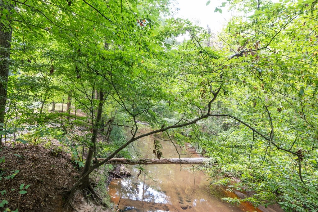 The Falls at Sope Creek Image 12