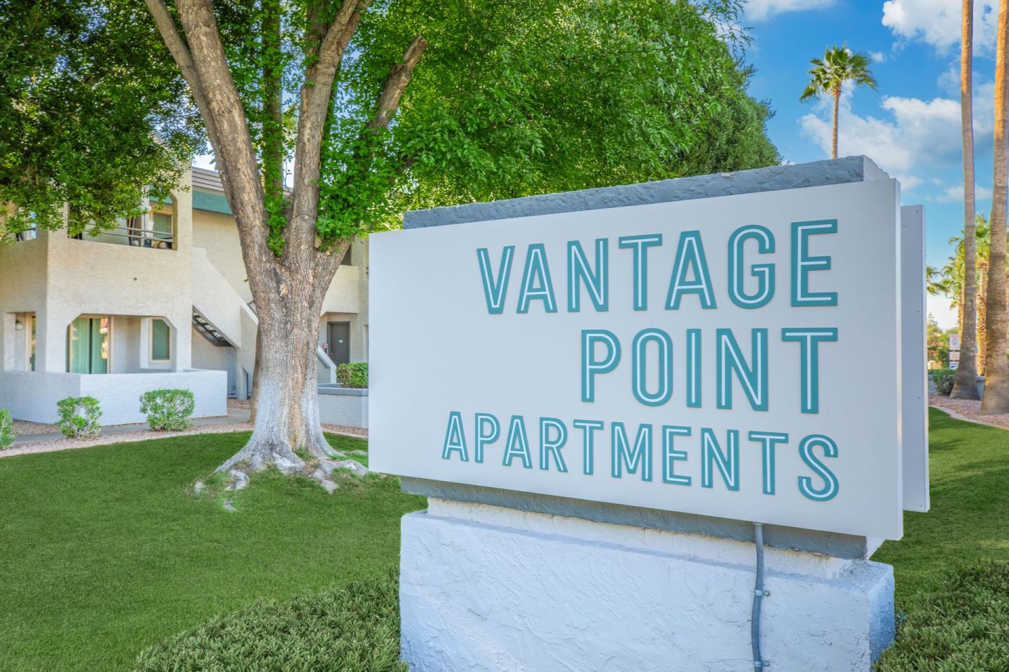 Vantage Point Image 2