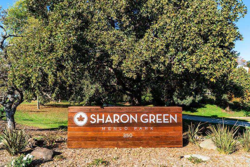 Sharon Green Image 8