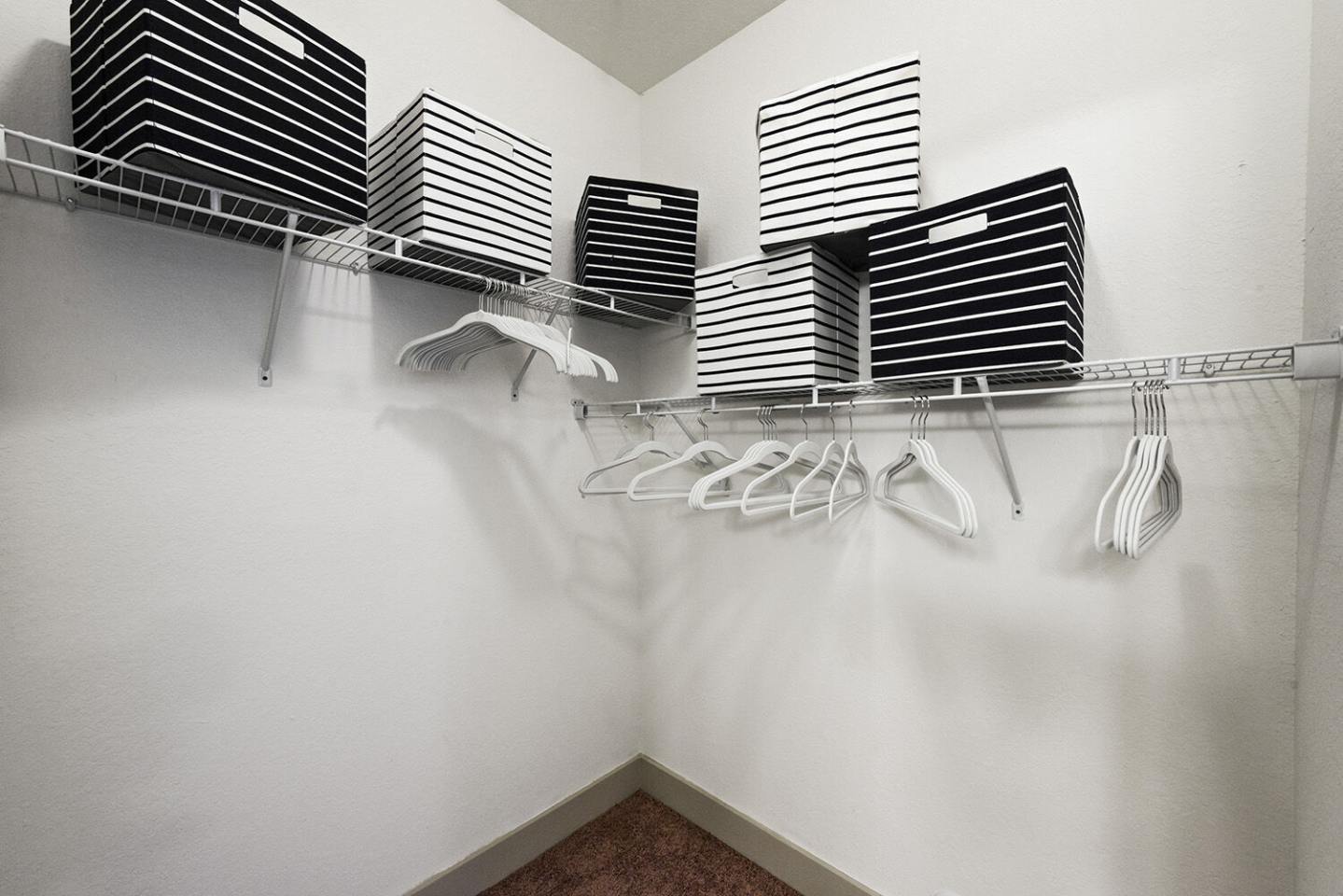 Millennium Image 18