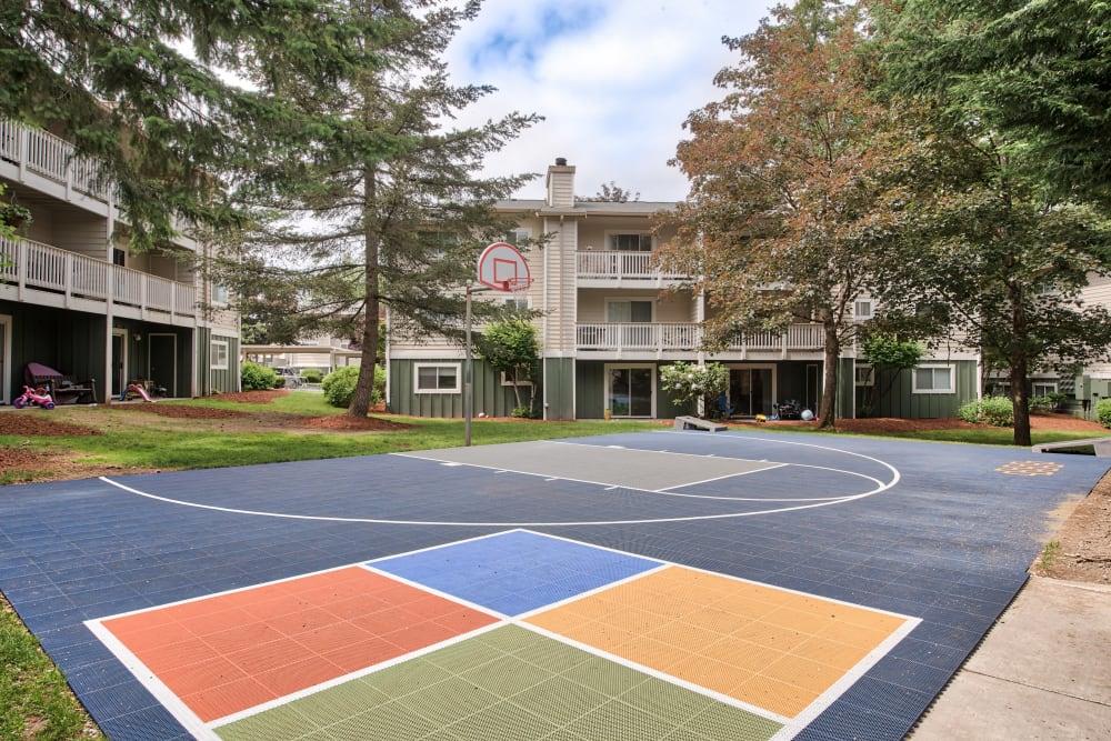 The Park at Cooper Point Apartments Image 16