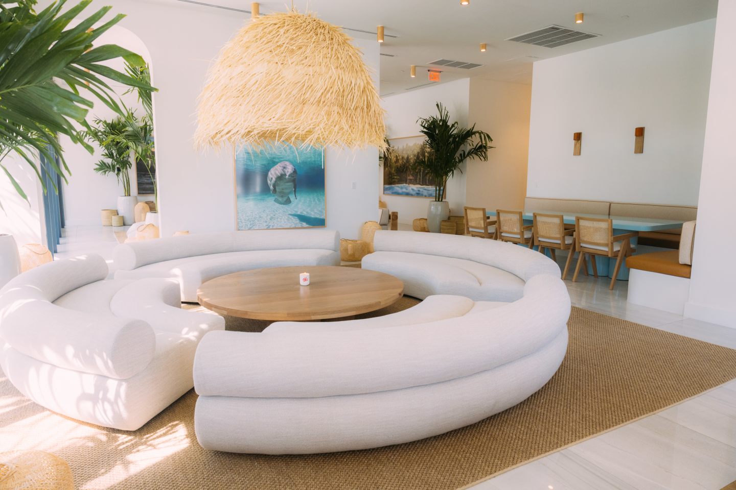 Flow Miami Image 11
