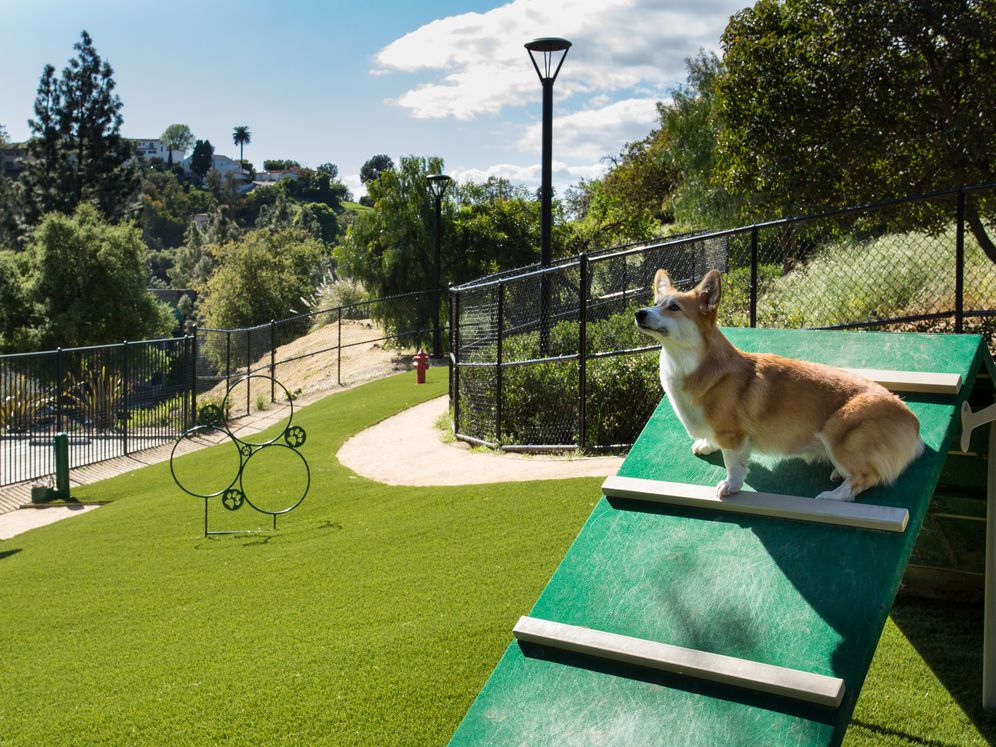 AVA Toluca Hills Image 37