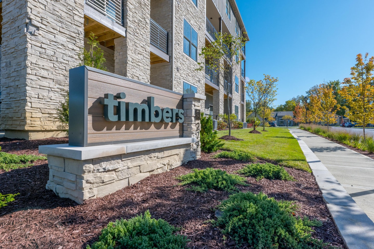 Timbers Image 27