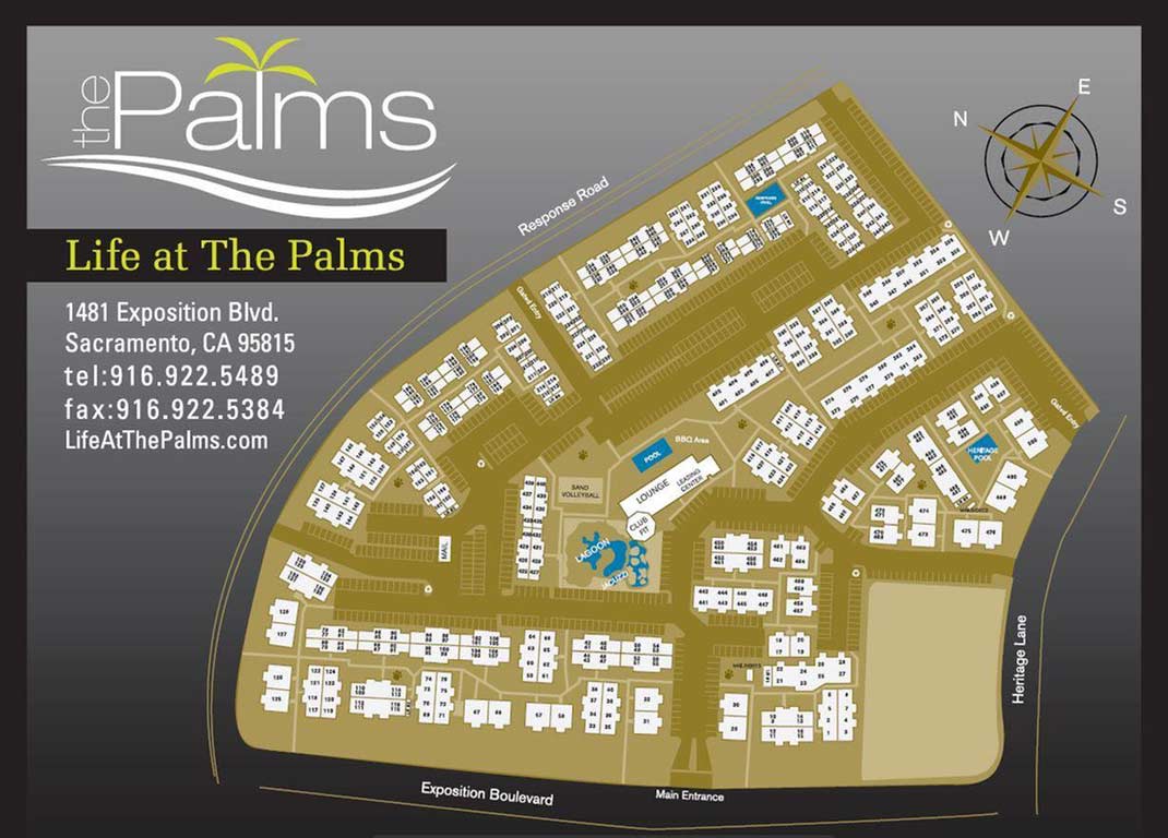 The Palms Apartment Homes Image 4