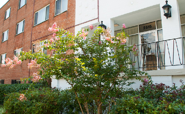 Penn View Image 12