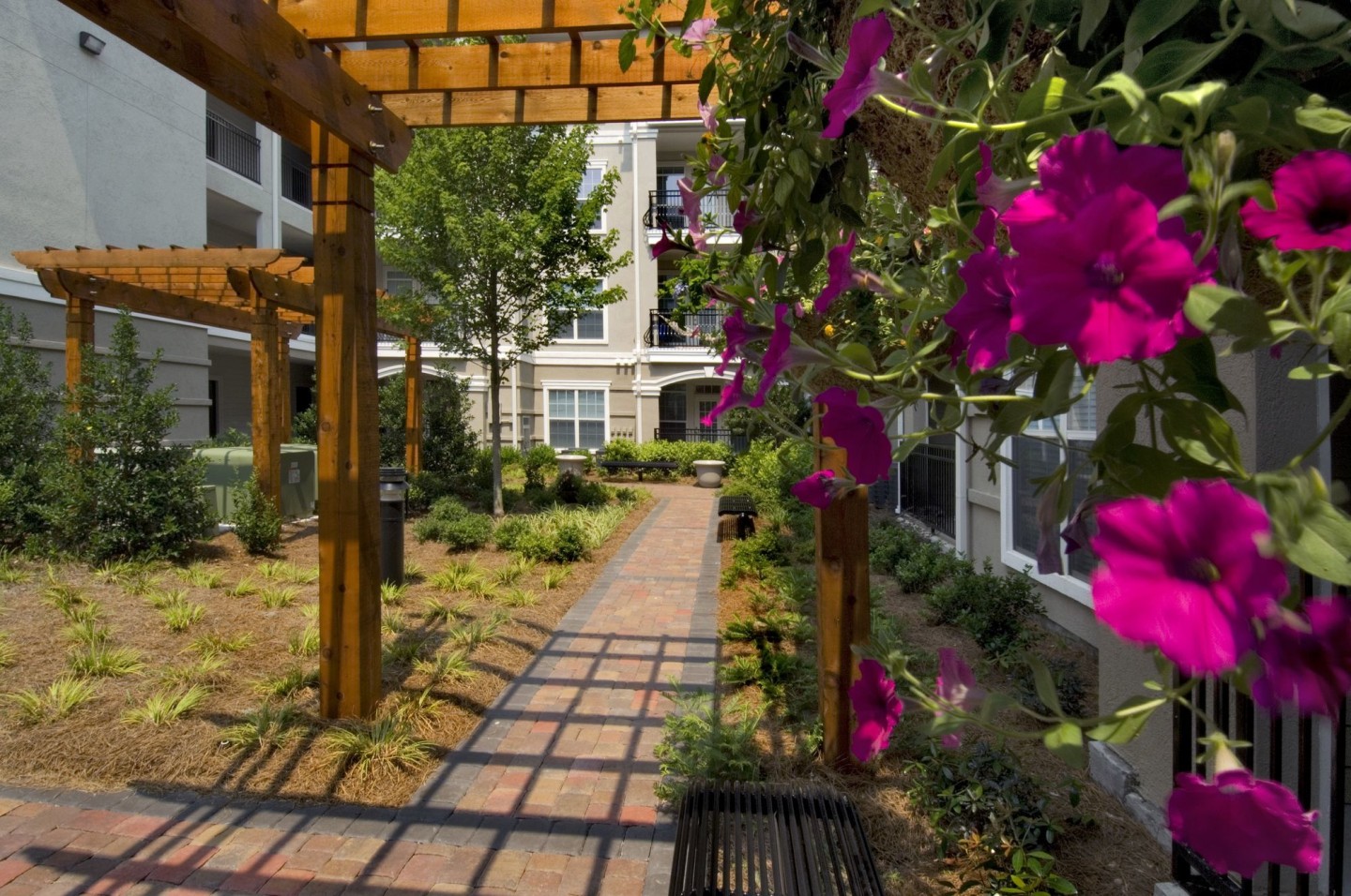 Avana Uptown Image 21