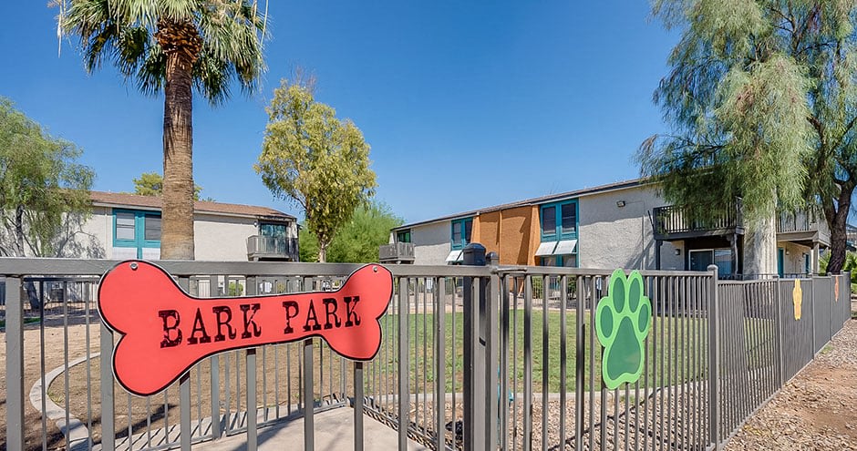 Aventerra at Dobson Ranch Image 50
